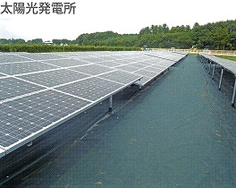 ザバーン防草シート３５０　太陽光発電現場使用例